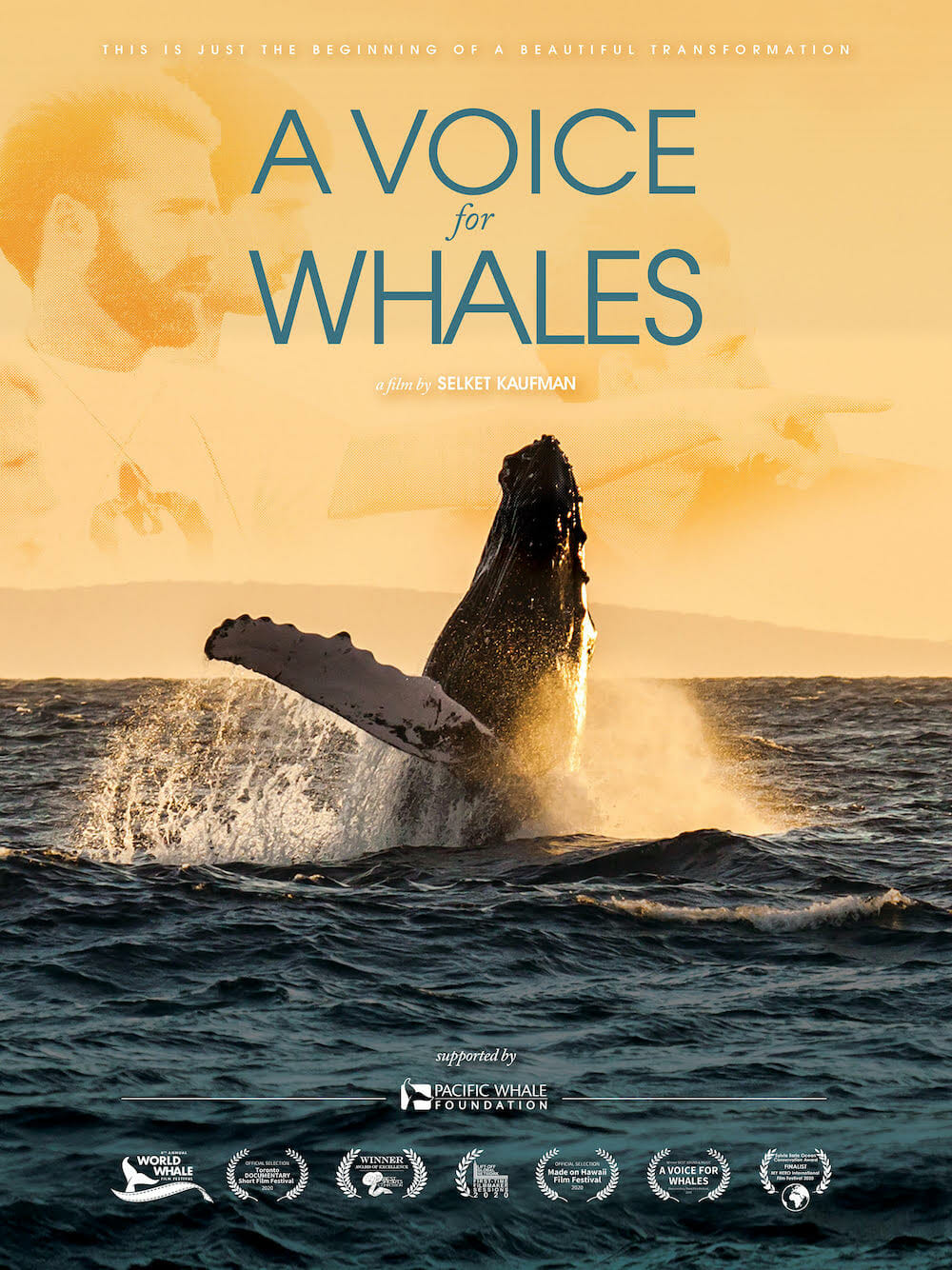 Maui Whale Festival Presents A VOICE FOR WHALES Film Review